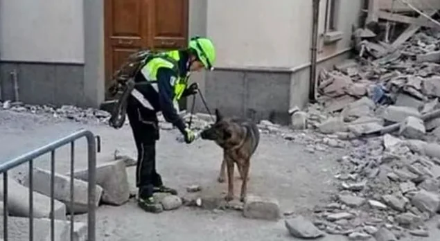 Addio Oxy, il cane eroe